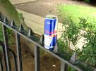 redbull